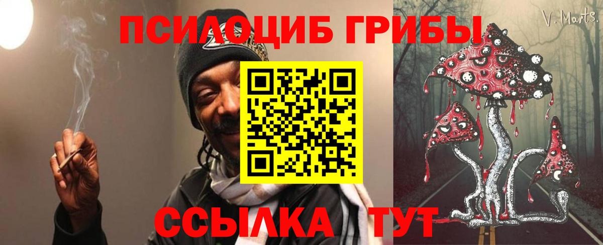 Галлюциногенные грибы GOLDEN TEACHER Кунгур
